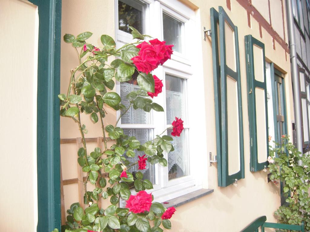 Ferienwohnungen Zur Kaiserstrasse room 5